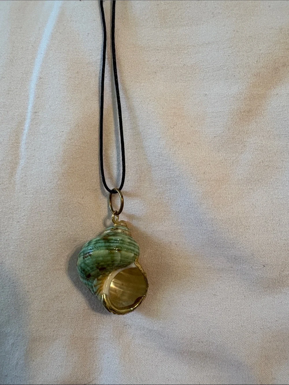 belk Green Shell Pendant on Black Cord Necklace